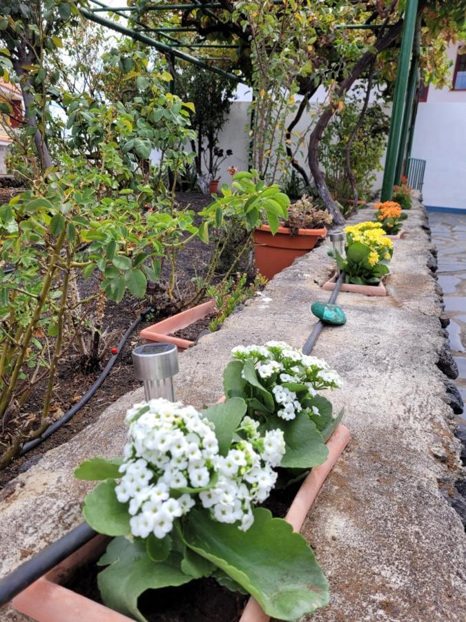 Casa Natalia. Apartment Taibique Ngoại thất bức ảnh